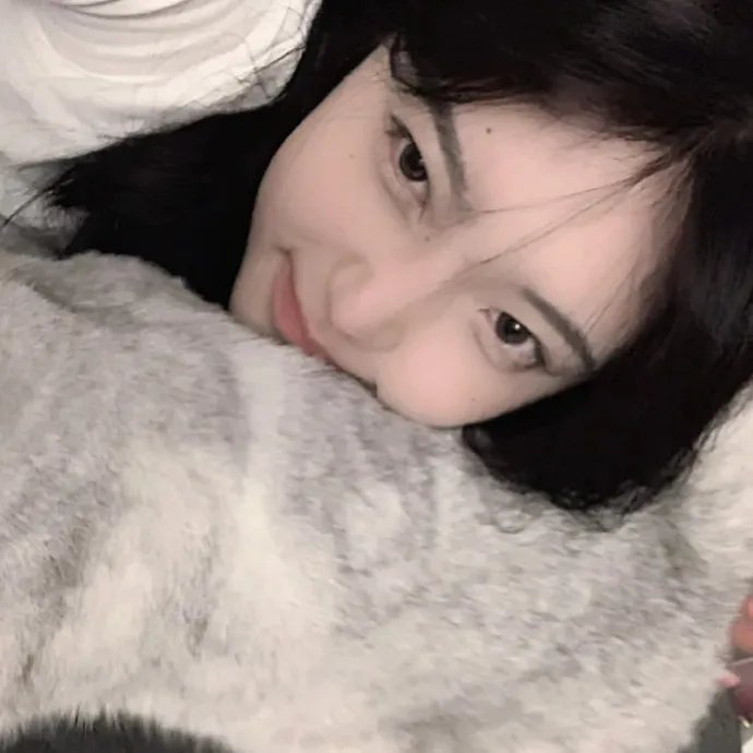 濑户内海 在线观看